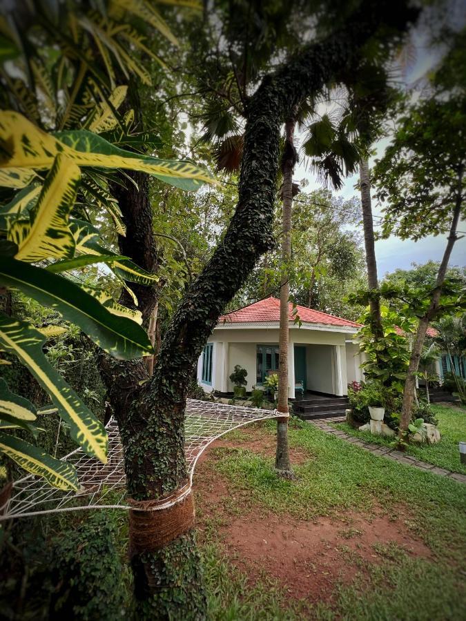 Paddle Cult Varkala Exterior photo